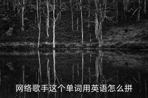 歌手的英語，網絡歌手這個單詞用英語怎么拼