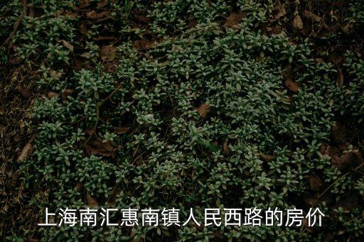 上海市惠南區房價多少，現在南匯惠南鎮房價多少