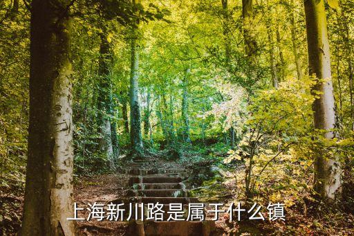 上海新川路是屬于什么鎮