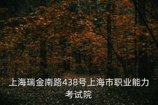上海市職能業能力考試考院，上海職業能力考試院在什么路上