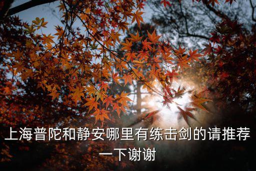 上海普陀和靜安哪里有練擊劍的請推薦一下謝謝