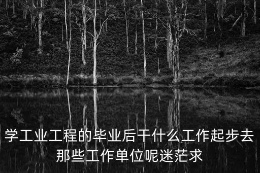 學(xué)工業(yè)工程的畢業(yè)后干什么工作起步去那些工作單位呢迷茫求