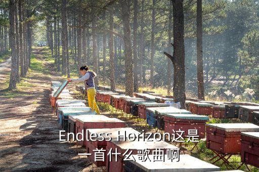 無垠地平線，endlesshorizon是什么意思