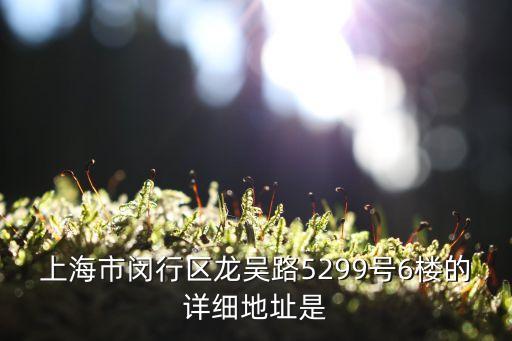 上海市閔行區(qū)龍吳路5299號6樓的詳細地址是