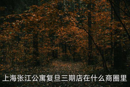 年上海市 張江 公寓，上海張江公寓復(fù)旦三期店在什么商圈里