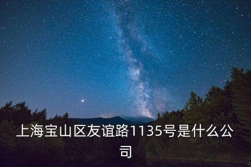 上海市航源集團，上海寶山區友誼路1135號是什么公司