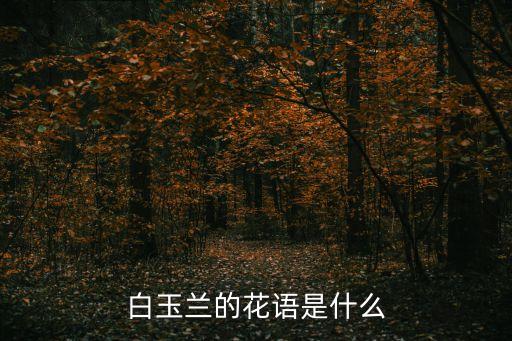 上海市花白玉蘭花語，白玉蘭的花語是什么