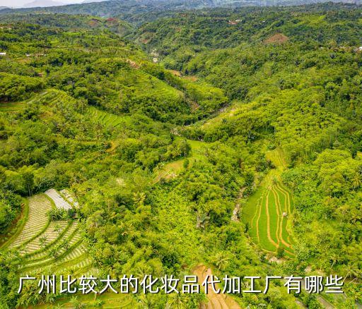 廣州粉餅眼影化妝品流水線普工，在廣州工廠做普工有多少錢一個月 生產線的線長組長 或部長一般有