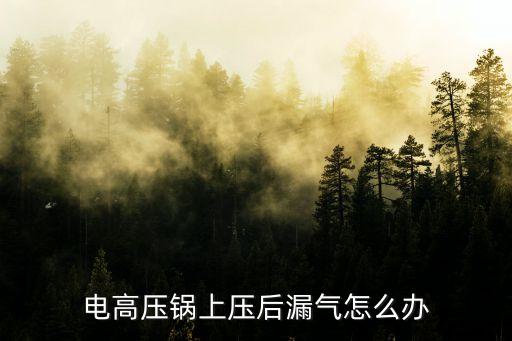 電高壓鍋上壓后漏氣怎么辦