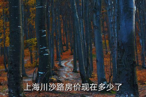 上海市川沙房子價格，上海市浦東新區川沙鎮的房價是