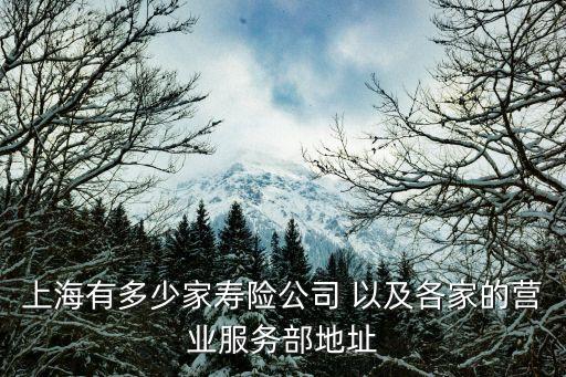 上海有多少家壽險公司 以及各家的營業服務部地址