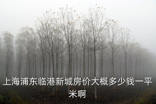 上海浦東臨港新城房價大概多少錢一平米啊