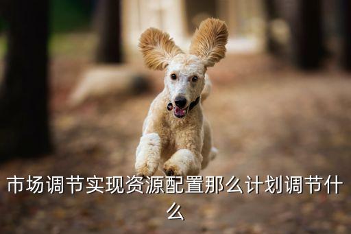 市場配置，現(xiàn)在電腦市場上最好的配置有那些