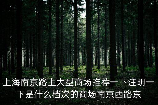 上海南京路上大型商場推薦一下注明一下是什么檔次的商場南京西路東