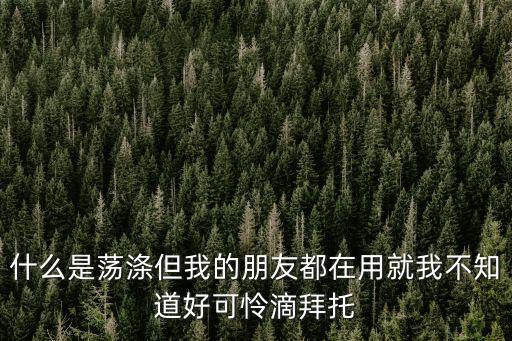 蕩滌，什么是蕩滌但我的朋友都在用就我不知道好可憐滴拜托
