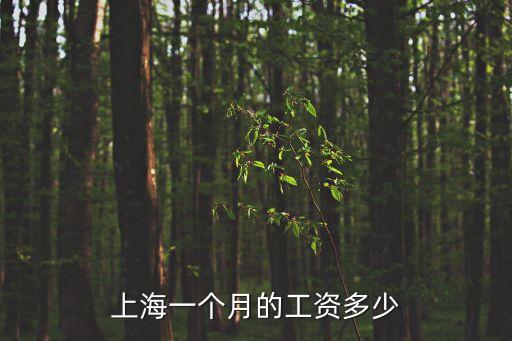 上海市做工資，在上海打普通工一月工資大概是多少包吃住嗎