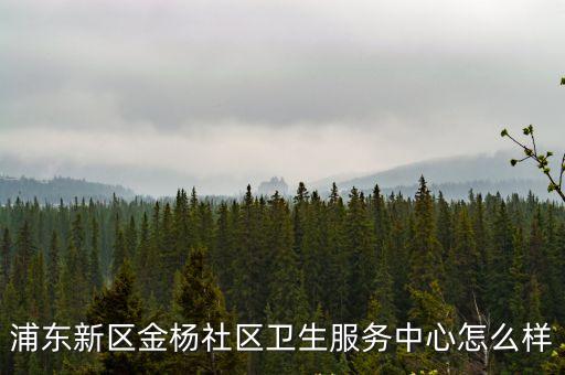 上海市浦東新區金楊醫院，上海浦東新區的醫院