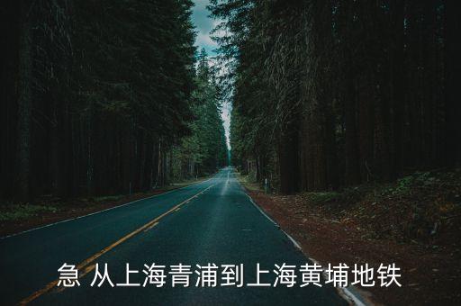 急 從上海青浦到上海黃埔地鐵