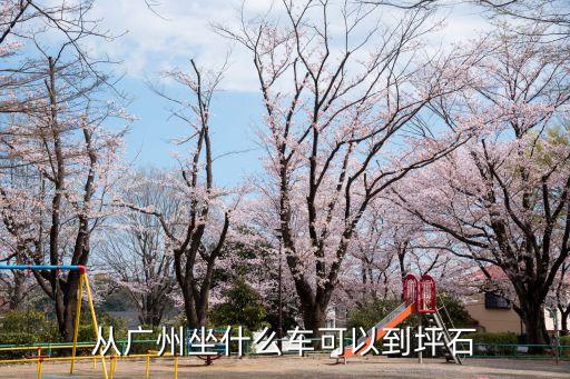 從廣州坐什么車可以到坪石