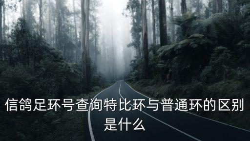 信鴿足環號查詢特比環與普通環的區別是什么