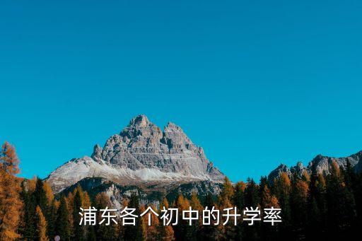 上海市市東初級中學升學，浦東各個初中的升學率