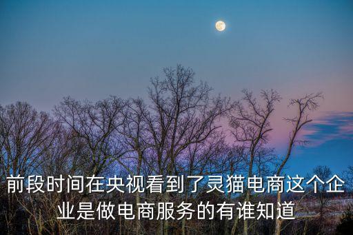 前段時間在央視看到了靈貓電商這個企業是做電商服務的有誰知道