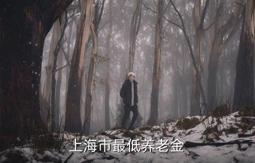 上海市養(yǎng)老金每月最低多少錢，上海最低退休金標(biāo)準(zhǔn)2022年
