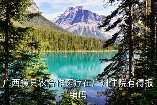 廣西橫縣農合作醫療在廣州住院有得報銷嗎