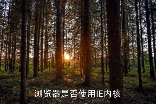 搜狗瀏覽器內(nèi)核，瀏覽器是否使用IE內(nèi)核