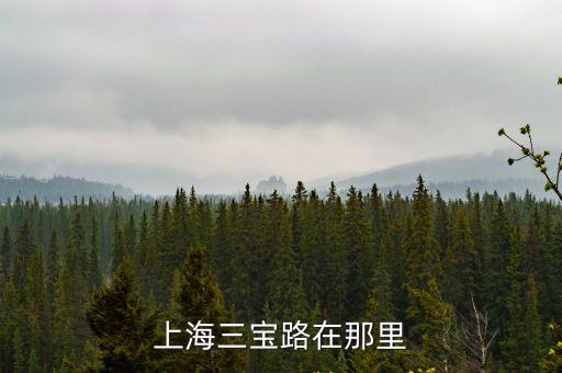 上海市靜安區三寶花苑怎么走，上海三寶路在那里