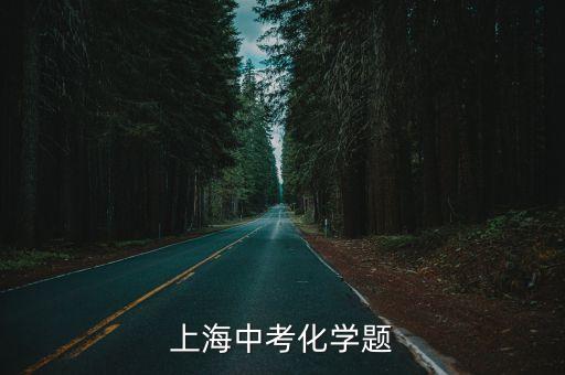 上海中考化學(xué)題