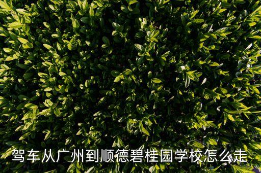 廣州順德碧桂園濱江路學校，駕車從廣州到順德碧桂園學校怎么走