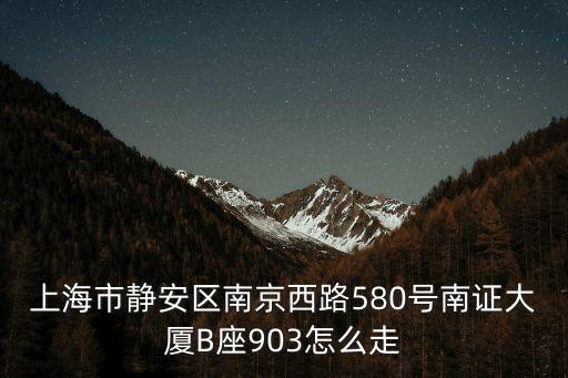 上海市靜安區南京西路580號南證大廈B座903怎么走