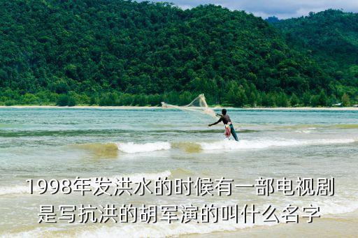 1998年發(fā)洪水的時(shí)候有一部電視劇是寫抗洪的胡軍演的叫什么名字