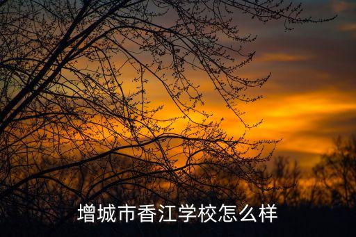 廣州增城區(qū)增江學(xué)校怎么樣，增城市荔江小學(xué)怎么樣