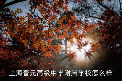 上海市高級(jí)中學(xué)附屬學(xué)校，RTA少年組成員分別在哪里上學(xué)