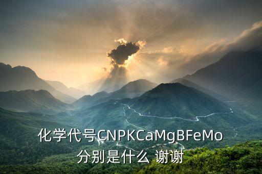 代號k，化學代號CNPKCaMgBFeMo分別是什么 謝謝