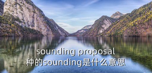 sounding proposal種的sounding是什么意思