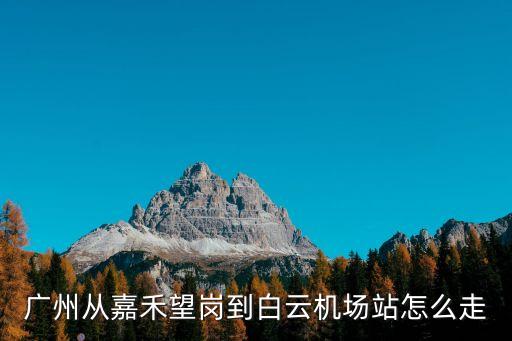 廣州從嘉禾望崗到白云機(jī)場站怎么走