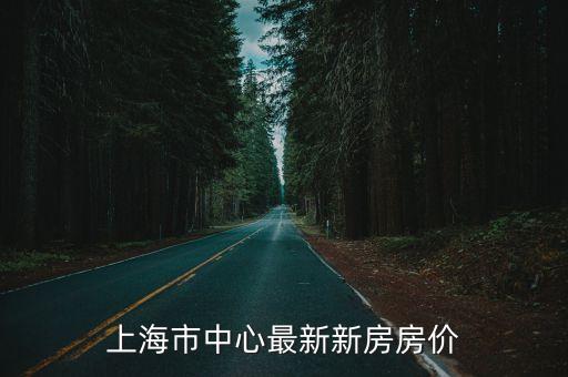 上海市最新房源信息，上海市中心最新新房房價