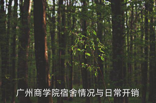 廣州商學院宿舍情況與日常開銷