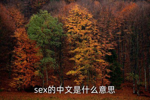 sex的中文是什么意思
