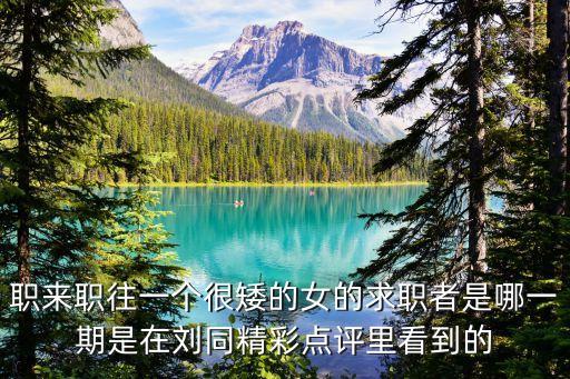 職來職往一個很矮的女的求職者是哪一期是在劉同精彩點評里看到的