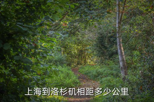 上海市到美國洛杉磯多少公里，上海到洛杉磯相距多少公里