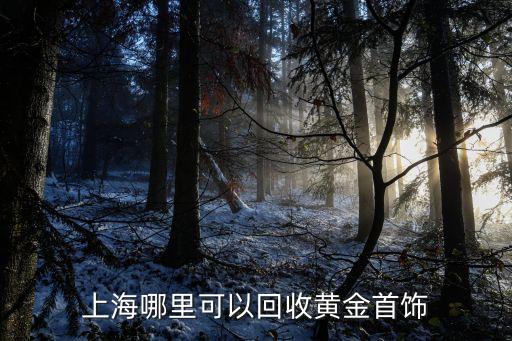 上海市回收黃金在哪里，上海哪里回收黃金的啊