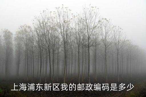 上海浦東新區(qū)我的郵政編碼是多少