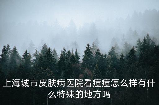 上海城市皮膚病醫(yī)院看痘痘怎么樣有什么特殊的地方嗎