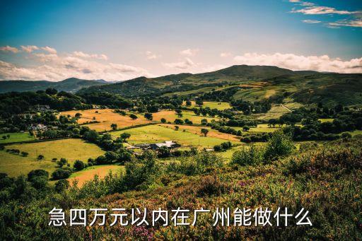 廣州海鮮打工仔，急四萬元以內在廣州能做什么