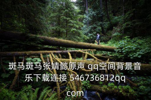斑馬斑馬張婧懿原聲 qq空間背景音樂下載連接 546736812qqcom