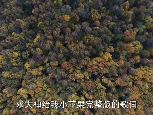 小蘋果歌詞完整版，小蘋果歌詞
